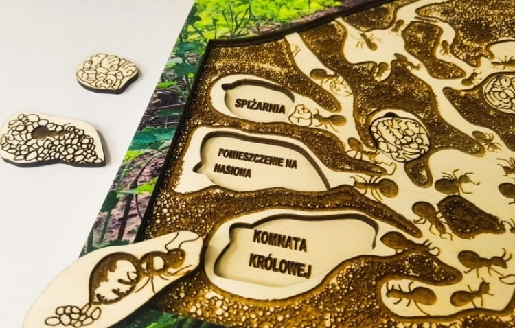 Układanka Mrowisko od Środka – pokazanie hierarchii i życia mrówek w mrowisku