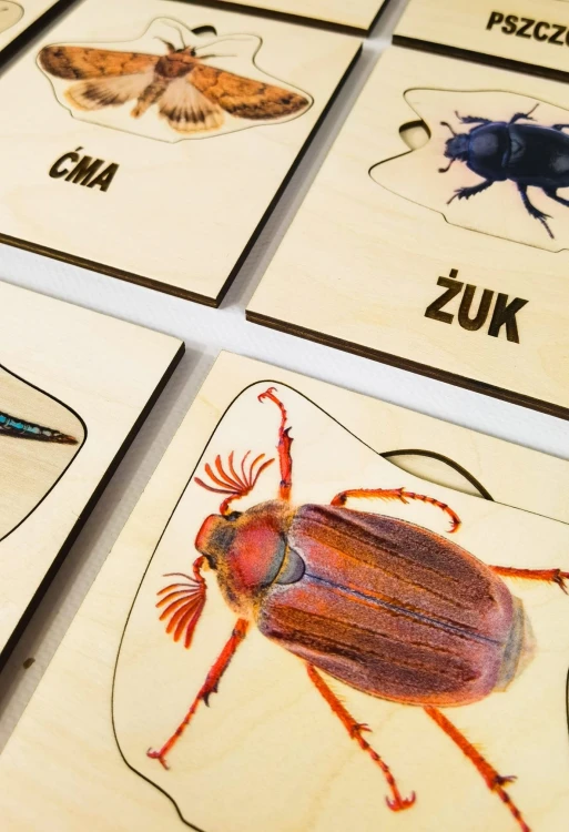 Zbliżenie na drewniane owady z zestawu Kolorowa Łąka EDUBOBO z nazwami