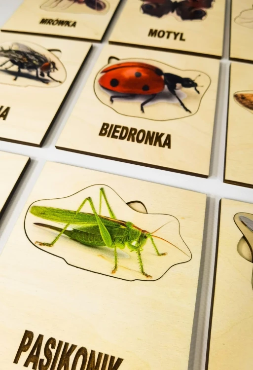 Zestaw edukacyjny Kolorowa Łąka EDUBOBO - makieta łąki z owadami w akcji