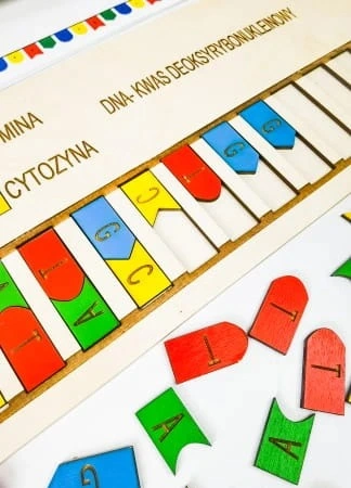 Plansza podstawy i nakładki układanki Skumaj DNA z elementami do łączenia nici DNA