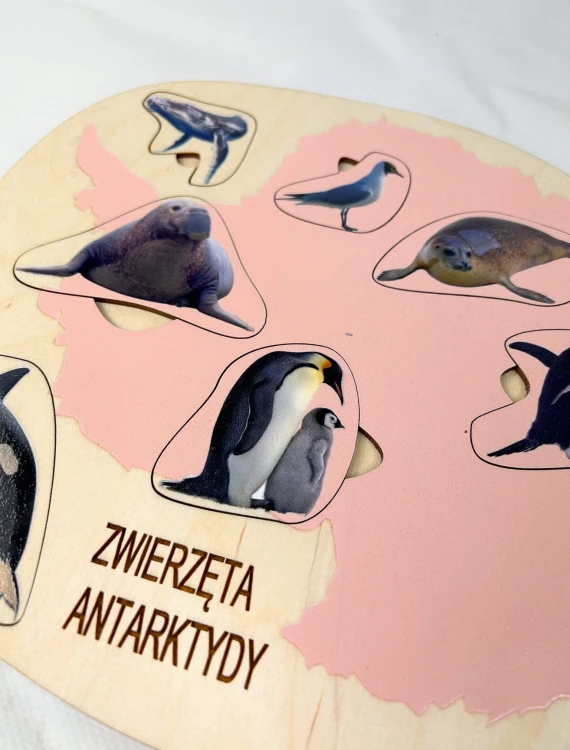 Puzzle przyrodnicze EDUBOBO pomagające poznawać zwierzęta i środowisko Antarktydy