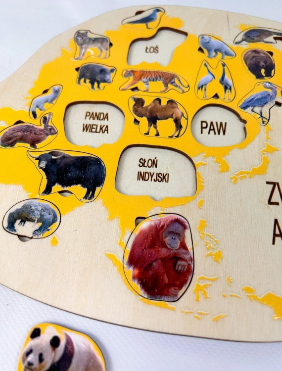 Zwierzęta Azji na edukacyjnej układance do nauki nazw i kontynentów
