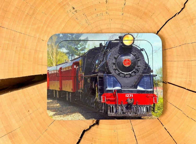 Drewniane układanki edukacyjne EDUBOBO - widok z bliska na elementy puzzli o wymiarach 10x7 cm