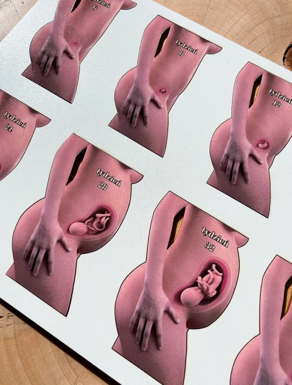 Drewniana układanka o rozwoju dziecka w ciąży do rozmów o anatomii i rozwoju