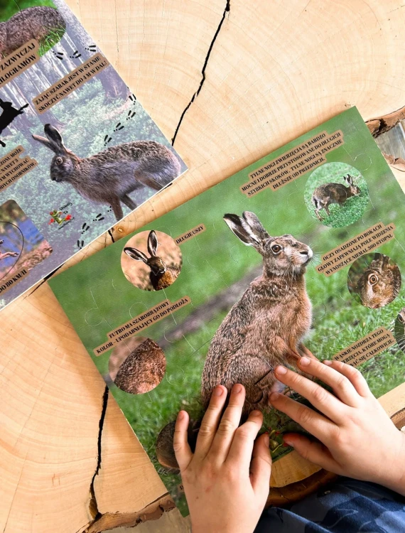 Zestaw edukacyjny EDUBOBO z motywem zająca - drewniane puzzle i plansza z ciekawostkami