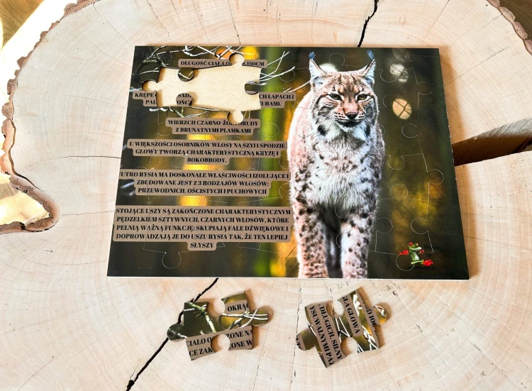 Drewniane puzzle edukacyjne Świat rysia EDUBOBO - elementy do układania
