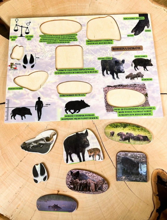 Dziecko układa puzzle drewnianej układanki "Świat dzika" EDUBOBO