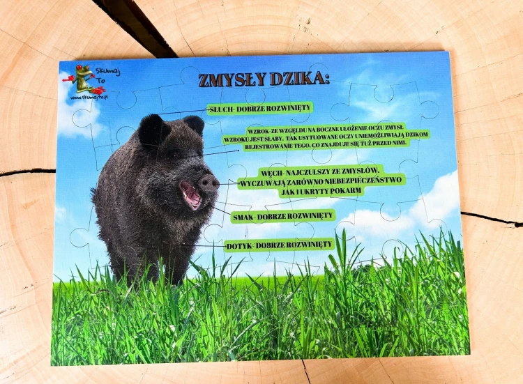 Widok z góry na drewnianą układankę edukacyjną o dzikach EDUBOBO