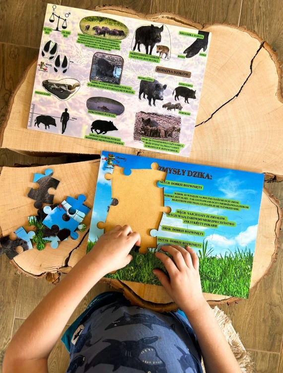 Edukacyjna układanka "Świat dzika" EDUBOBO w naturalnym oświetleniu