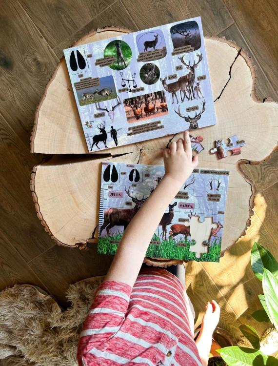 Zestaw edukacyjny EDUBOBO Tajemnice jelenia - dwie plansze do nauki i zabawy