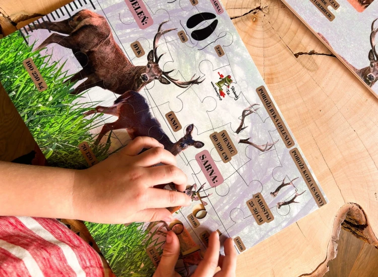 Dzieci układają puzzle z jeleniem - edukacyjna układanka Tajemnice jelenia EDUBOBO