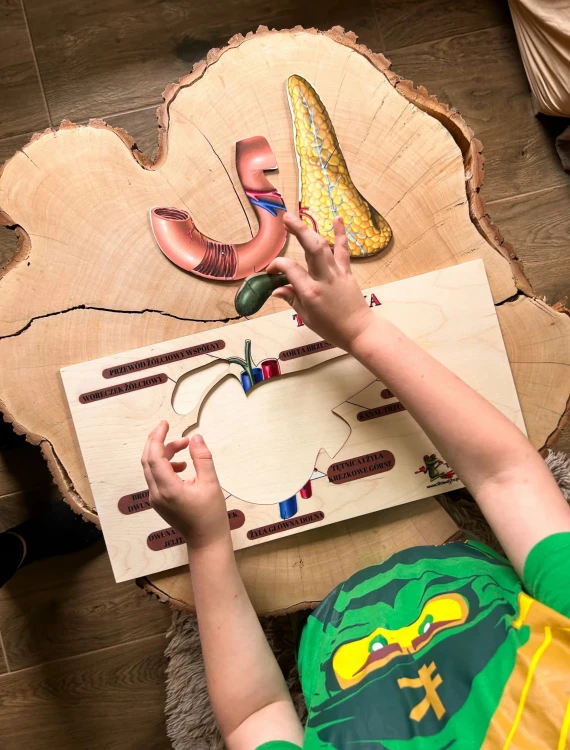Układanka edukacyjna EDUBOBO z wyjmowanymi częściami do nauki anatomii
