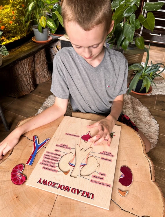 Układanka anatomiczna z wyjmowanymi częściami do nauki przez działanie
