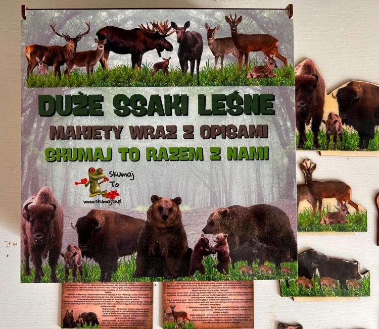 Karty edukacyjne 10x6 cm do zestawu Duże Ssaki Leśne EDUBOBO z opisami zwierząt