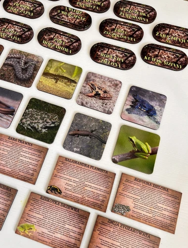 Drewniane karty edukacyjne 10x6 cm z grafikami gadów i płazów leśnych EDUBOBO
