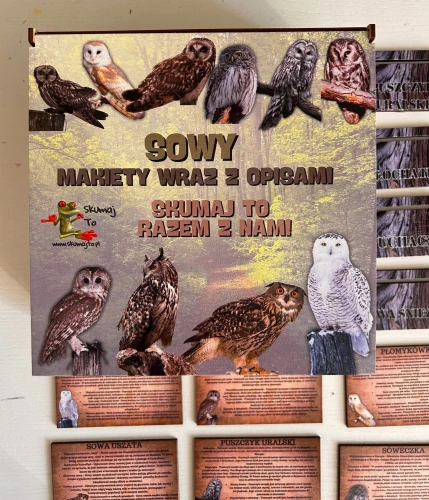 Zestaw drewnianych kart sów EDUBOBO z ilustracjami i opisami gatunków