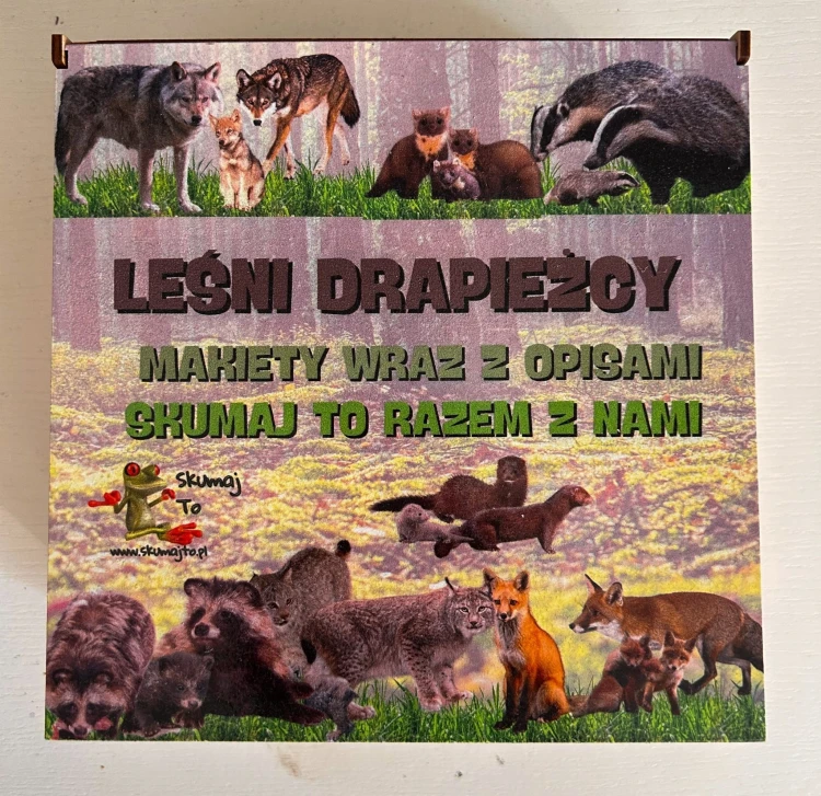 Zestaw kart z ilustracjami i opisami leśnych drapieżników EDUBOBO w pudełku 20x20 cm