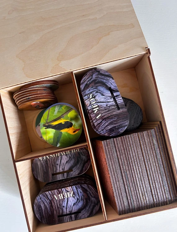 Zbliżenie na drewniane podstawki z nazwami gatunków ptaków z makiety Ptaki lasów