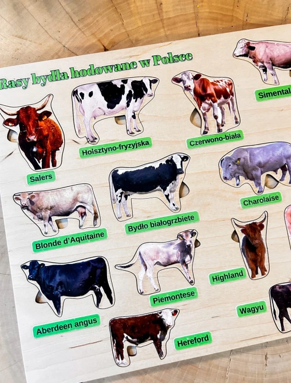 Drewniana podstawa układanki EDUBOBO z wyjmowanymi elementami ras krów hodowanych w Polsce