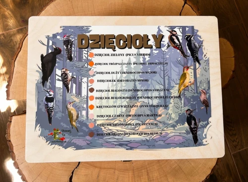 Zestaw drewnianych dzięciołów z kartami edukacyjnymi i planszą kontrolną EDUBOBO