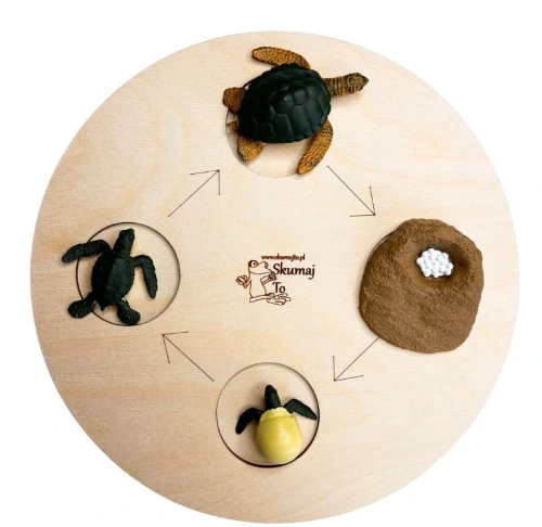 Cykl rozwoju Żółwia Wodnego, figurki, Montessori