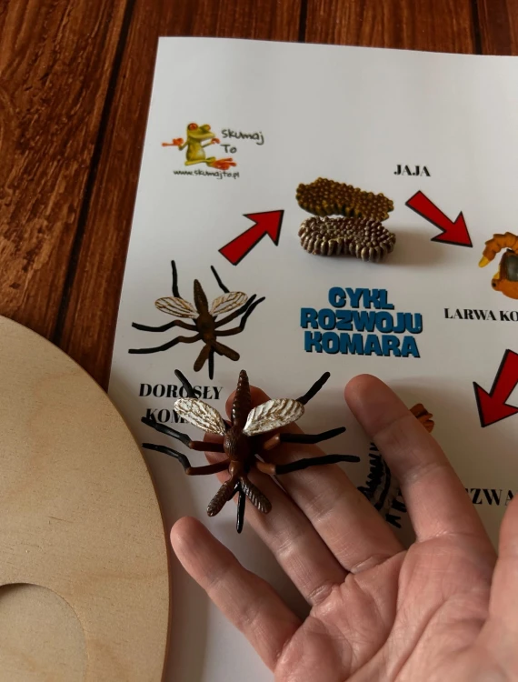 Zbliżenie na realistyczną figurkę larwy komara z układanki EDUBOBO
