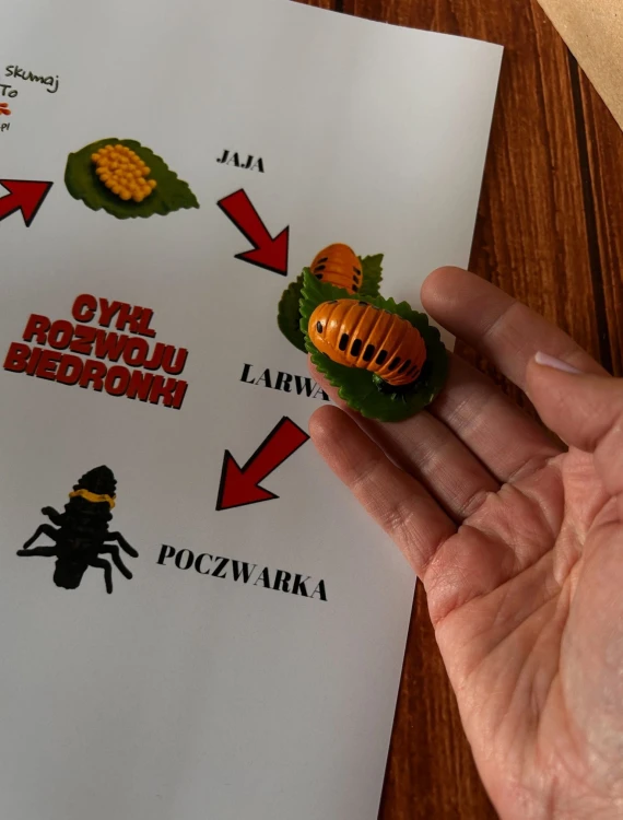 Bawełniany woreczek do przechowywania elementów układanki cyklu rozwoju biedronki EDUBOBO