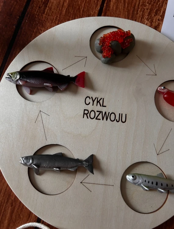 Figurki łososia z zestawu edukacyjnego EDUBOBO na tle planszy