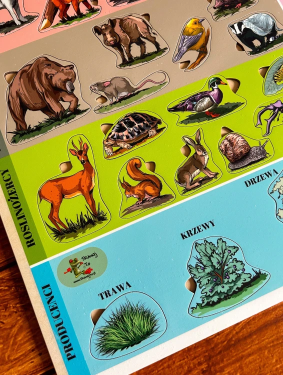 Zbliżenie na drewniane klocki z układanki Kto kogo zjada? EDUBOBO z ilustracjami roślin i zwierząt