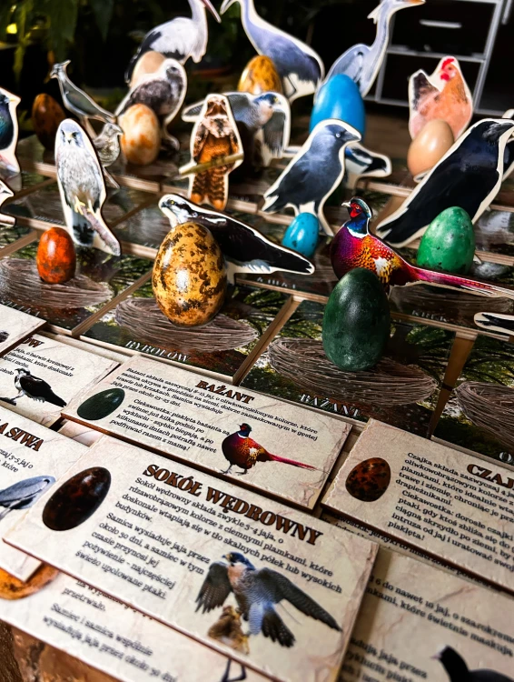 Edukacyjna układanka ptaków EDUBOBO - zabawa i nauka w duchu zero waste