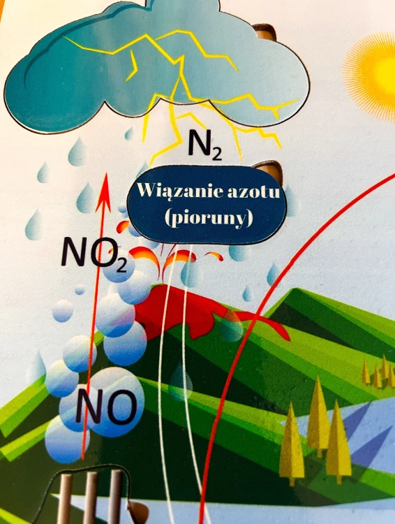 Ilustracja cyklu azotu na drewnianej pomocy edukacyjnej do nauki przyrody