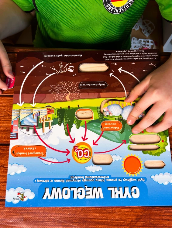 Cykl węglowy na planszy edukacyjnej EDUBOBO, temat na lekcje biologii.