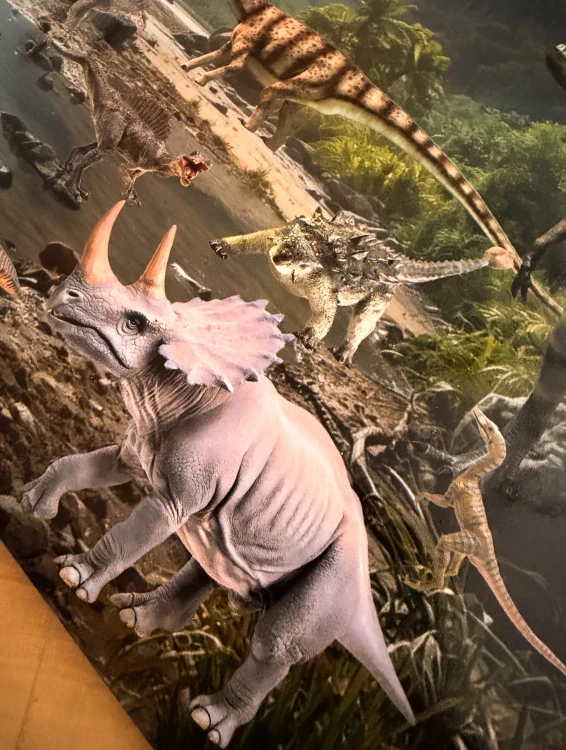 Detal drewnianych elementów z ilustracjami dinozaurów z wyszukiwanki EDUBOBO