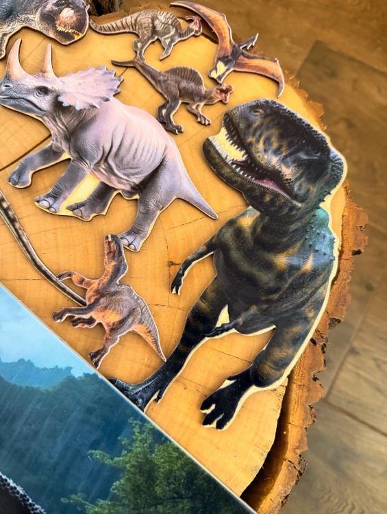 Widok elementów drewnianej edukacyjnej wyszukiwanki dinozaury EDUBOBO