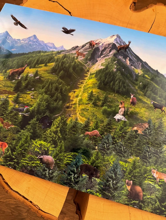 Zbliżenie na drewniane puzzle z motywem zwierząt górskich w edukacyjnej układance EDUBOBO