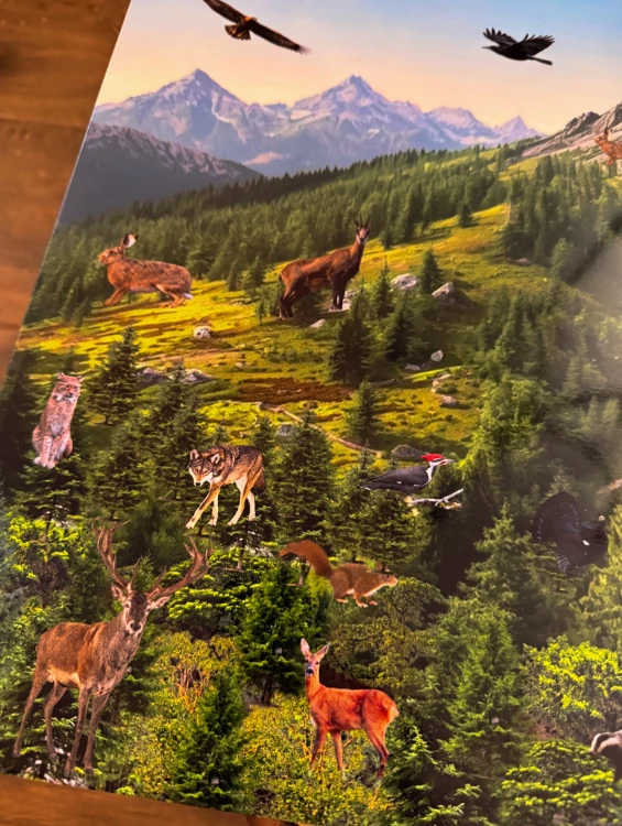 Plansza wyszukiwanki Zwierzęta Gór z ilustracją lasów, dolin i szczytów górskich