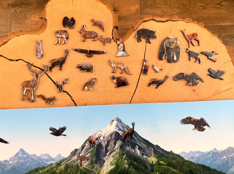 Szczegół ilustracji na planszy wyszukiwanki z różnymi gatunkami zwierząt górskich
