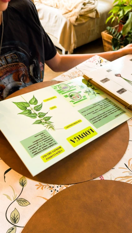 Ilustracja procesu zapylania w drewnianej książce edukacyjnej Świat roślin EDUBOBO