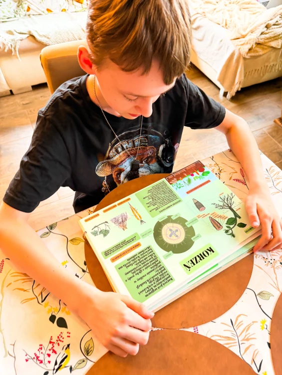 Przekrój korzenia i opis funkcji w książce edukacyjnej Świat roślin EDUBOBO