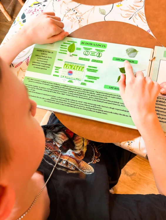 Elementy łodygi i ich opis w edukacyjnej książce drewnianej Świat roślin EDUBOBO