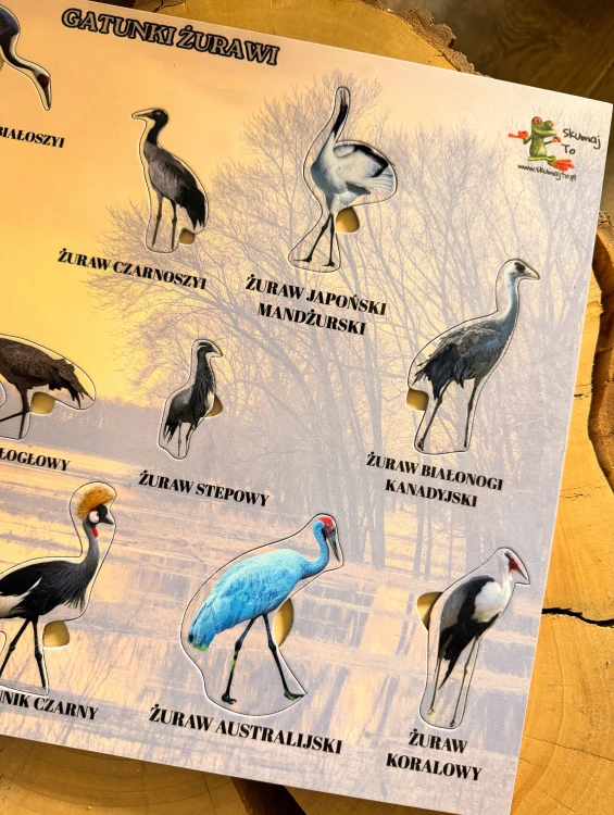 Zbliżenie na realistyczne ilustracje żurawi w dużej układance edukacyjnej EDUBOBO