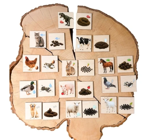 Memory 'Kupa i zwierzęta' drewniana gra edukacyjna EDUBOBO z elementami 10 x 10 cm