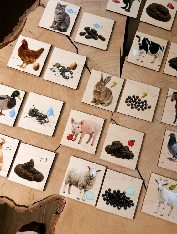 Drewniane kafelki memory z grafikami zwierząt i symbolami do dopasowania EDUBOBO