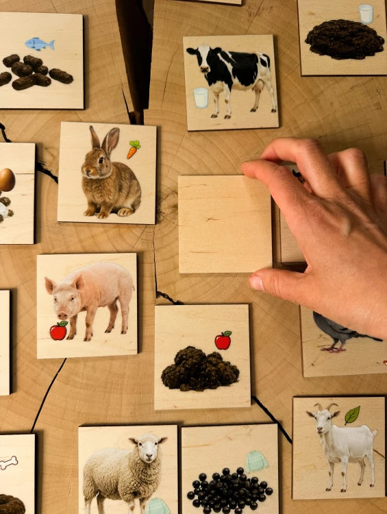 Elementy memory 'Kupa i zwierzęta' z bliska – detale grafik i symboli EDUBOBO