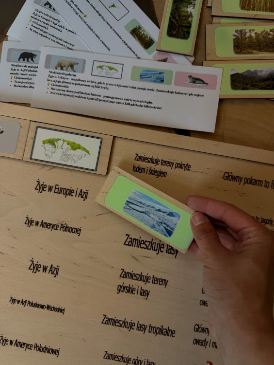 Drewniane elementy do dopasowywania w układance edukacyjnej Świat niedźwiedzi EDUBOBO