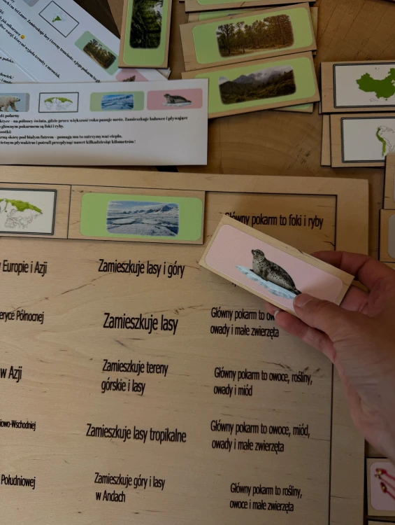 Ilustracje gatunków niedźwiedzi w układance edukacyjnej EDUBOBO z opisami