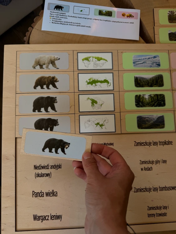 Plansza do układanki edukacyjnej o niedźwiedziach EDUBOBO z miejscami występowania