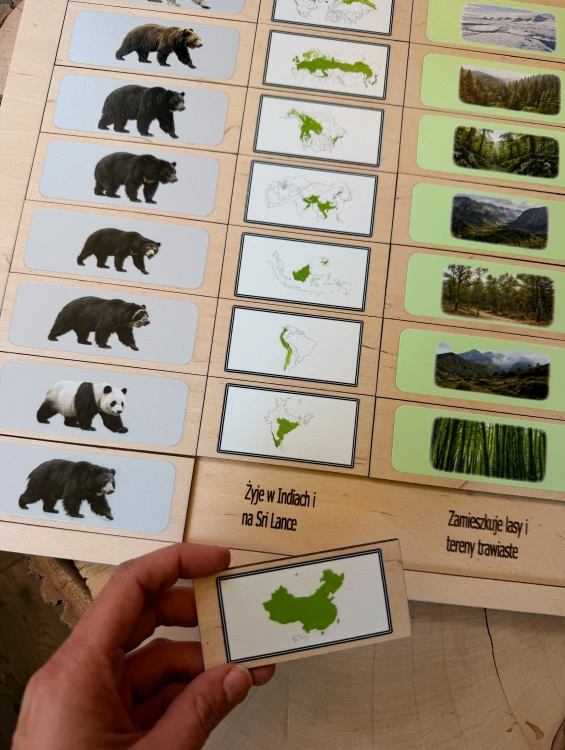 Drewniane pomoce edukacyjne EDUBOBO - elementy układanki o niedźwiedziach