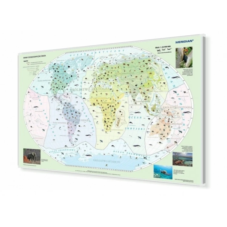 Mapa magnetyczna Świat - krainy zoogeograficzne KARTA 160x120 cm w aluminiowej ramie z narożnikami z tworzywa