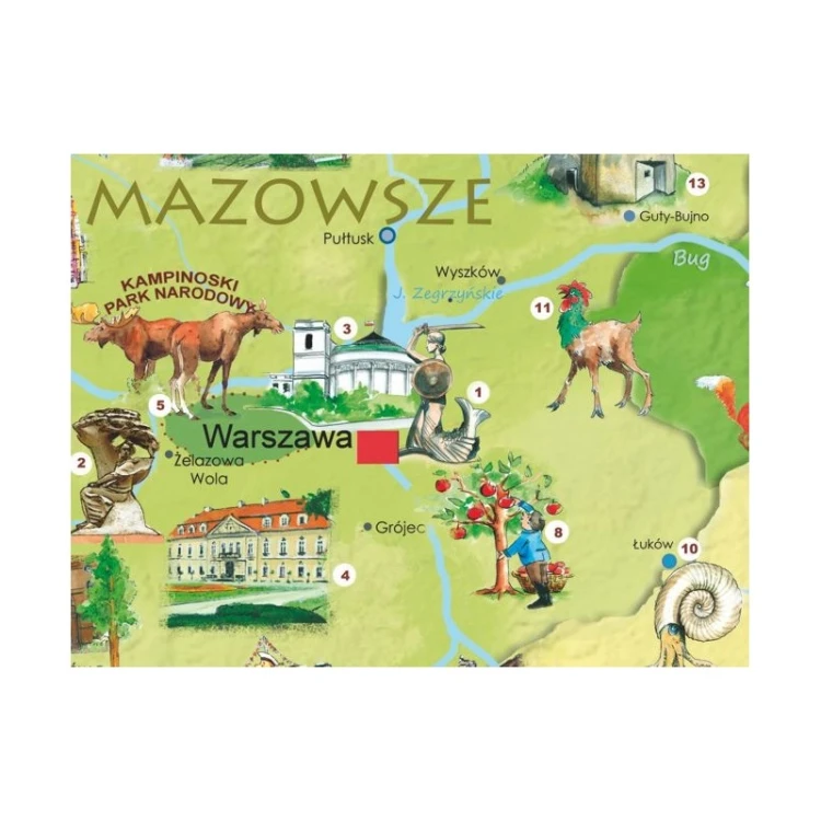 Zbliżenie na podkład korkowy wielowarstwowy mapy do wpinania Polska